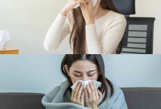 Cara Alami dan Efektif untuk Mengurangi Alergi Dingin dan Debu