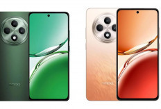Bukan Sekadar HP Murah, OPPO Reno 12F Bawa Fitur AI Lebih 'Sakti' dari Seri Sebelumnya Apa Saja?