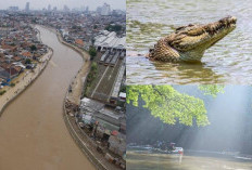 Berani Kesana? Fenomena Gaib di Sungai Ciliwung Suara Misterius dan Pengalaman Tak Terlupakan