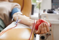 Meningkatkan Kesehatan Jantung 5 Manfaat Positif Donor Darah