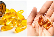 Inilah 6 Manfaat Minyak Ikan untuk Kesehatan dan Bagus untuk Otak!