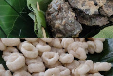Menjelajahi Kuliner Tradisional Kulon Progo, Surga Rasa Pedesaan yang Autentik dan Terjangkau, Ini Kulinernya!