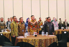 Pj Wako Hadiri High Level Meeting TP2DD Wilayah Sumsel 