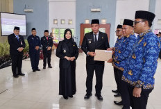 Tegaskan Birokrasi Harus Profesional