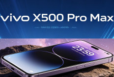 Vivo X500 Pro Max Muncul di Basis Data IMEI, Awal Mula Generasi Baru Smartphone Flagship Vivo