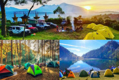 Lagi Cari Camping Nyaman dan Instagramable di Malang? Berikut Ini dia 6 Pilihan Spot Terbaik!