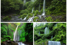 Menguak 5 Keindahan Air Terjun Permata Tersembunyi di Lombok, Yuk Singgahi!