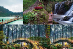 6 Tempat Wisata Yang Lagi Viral di Bandung Wajib kalian kunjungi di tahun 2025! 