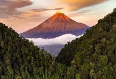 Menelusuri Misteri Gunung Kerinci, Cerita Suku Terasing dan Alam Megahnya