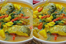 Resep Ikan Gabus Bumbu Kuning, Wajib Kalian Cobain!