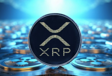 Ripple dan Perkembangan Regulasi: XRP Siap untuk Lonjakan Harga Signifikan?