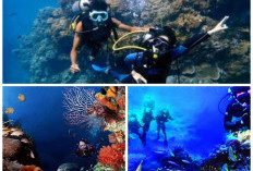 Surga Bawah Laut. Spot-spot Diving Bunaken Paling Ciamik Bikin Nagih Para Penjelajah Wisata Bahari