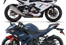Voge RR500S vs Kawasaki Ninja 500, Adu Ketangguhan Sportbike 500cc, Mana Lebih Layak Dipilih?