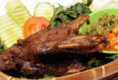 Pentingnya Asupan Zat Besi 5 Manfaat Daging Bebek Untuk Kesehatan Darah