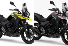 Kekurangan Suzuki V-Strom 250 Terungkap! Simak 10 Hal yang Wajib Diketahui Sebelum Membeli Motor Adventure!