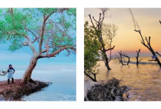 Surga Tersembunyi di Subang: Pesona Pantai Cirewang yang Tenang dan Instagramable