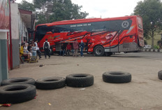 Arus Balik Lebaran Stabil, Armada Sinar Dempo Pastikan Layanan Tetap Optimal