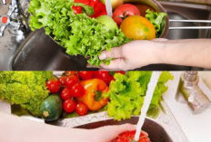 Begini Cara Aman Mencuci Sayuran agar Terhindar dari Pestisida