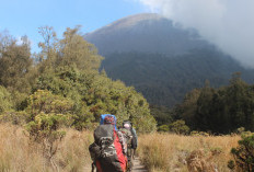 Ini Misteri Gunung Semeru, Cerita Mistis yang Menghantui Para Pendaki