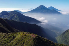 Gunung Bismo: Surga Pendakian di Jantung Wonosobo