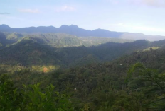 Kisah-Kisah Menyeramkan dari Pendaki Gunung Pelatang