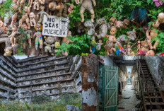 Mengungkap Misteri, Inilah 6 Lokasi Terangker di Dunia yang Wajib Anda Kunjungi Untuk Uji Nyali!