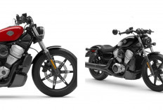 Ini Dia Bocoran Spesifikasi Harley-Davidson Nightster 440! Motor Gede dengan Harga Rp 40 Jutaan