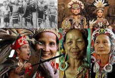 Membuka Tabir Perbedaan Antara Suku Papua dan Kalimantan! Simak Ini Penjelasanya