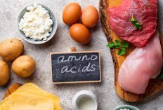 Menggali Kekuatan Nutrisi 5 Manfaat Asam Amino Untuk Kesehatan Optimal