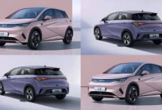 Update Harga BYD M6 Januari 2026: Harga Tetap atau Naik Setelah Insentif Berakhir, Ini Dia Harganya!