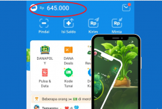 Auto Cuan 2025! Dapat Saldo DANA Rp600.000 Tanpa Ribet, Gak Perlu Ajak Teman!