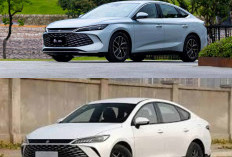 Bikin Pom Bensin Sepi! Sedan Hybrid BYD Qin Plus Rilis, Tawarkan Konsumsi BBM Luar Biasa Irit