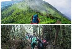 Misteri Gunung Sibuatan yang Bikin Penasaran, Dari Kisah Mistis hingga Keindahan Alam yang Memukau
