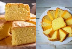 Anti Gagal Resep Bolu Jadul Lembut Terbaru 2025 Bikin Sekarang!