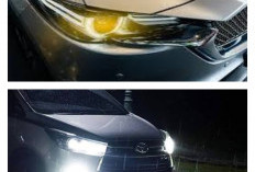 Jangan Asal Terang! Bahaya Menyalakan Fog Lamp Saat Cuaca Buruk yang Sering Diabaikan Pengendara Indonesia