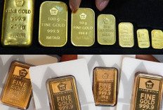 Harga Emas Antam Turun Rp20.000, Ini Daftar Harga Terbaru per Gram 14 Juli 2026!