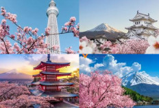  Destinasi Wisata Favorit Dengan Keindahan Bunga Sakura Yang Menukau?