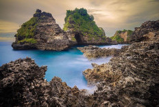 Taman Wisata Alam Pantai Tunak Lombok 