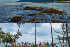 Pantai Klara, Lampung, Destinasi Eksotis dengan Air Jernih dan Pasir Putih!