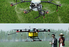 Petani Gak Perlu Capek Lagi! Drone Pertanian Bikin Semua Jadi Otomatis
