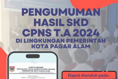 Pengumuman