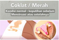 Keputihan Cokelat: Normal atau Tanda Bahaya? Kenali Penyebab dan Kapan Harus Waspada