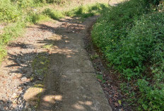 Akses Jalan Rusak Parah, Keselamatan Siswa SD Negeri 17 Pagar Alam Terancam