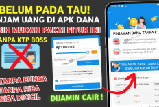 Tanpa Dana Paylater! Begini Trik Rahasia Dapat Saldo Rp1.250.000 di DANA Sekejap!