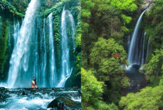 Keren Banget, Inilah Keindahan Panorama dari Air Terjun Tiu Kelep Lombok! 