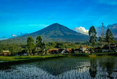 Misteri di Puncak Cikuray: Keindahan dan Kisah Hilangnya Pendaki yang Belum Terpecahkan