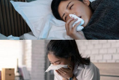 Lagi Flu Yuk Simak, Inilah 5 Panduan Praktis Mengatasi Flu Dalam Waktu Singkat