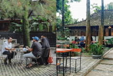 Hangout Sempurna di Cibubur, Rekomendasi Kafe untuk Santai dan Bekerja!