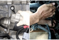 Panduan Lengkap Melepas Dinamo Starter Avanza Tanpa Ribet Dijamin Berhasil!