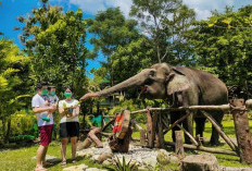 Taman Gembira Loka: Salah Satu Tempat Wisata Populer Di Yogyakarta